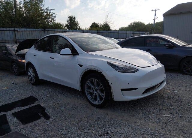 2021 TESLA Model Y