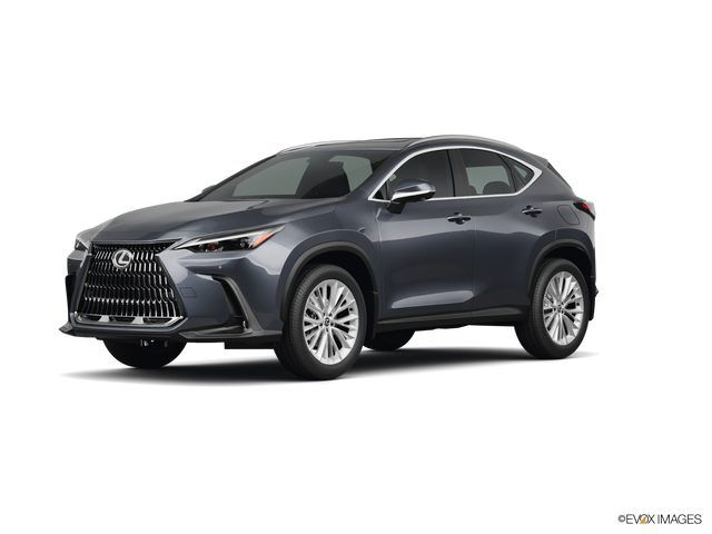 2026 LEXUS NX