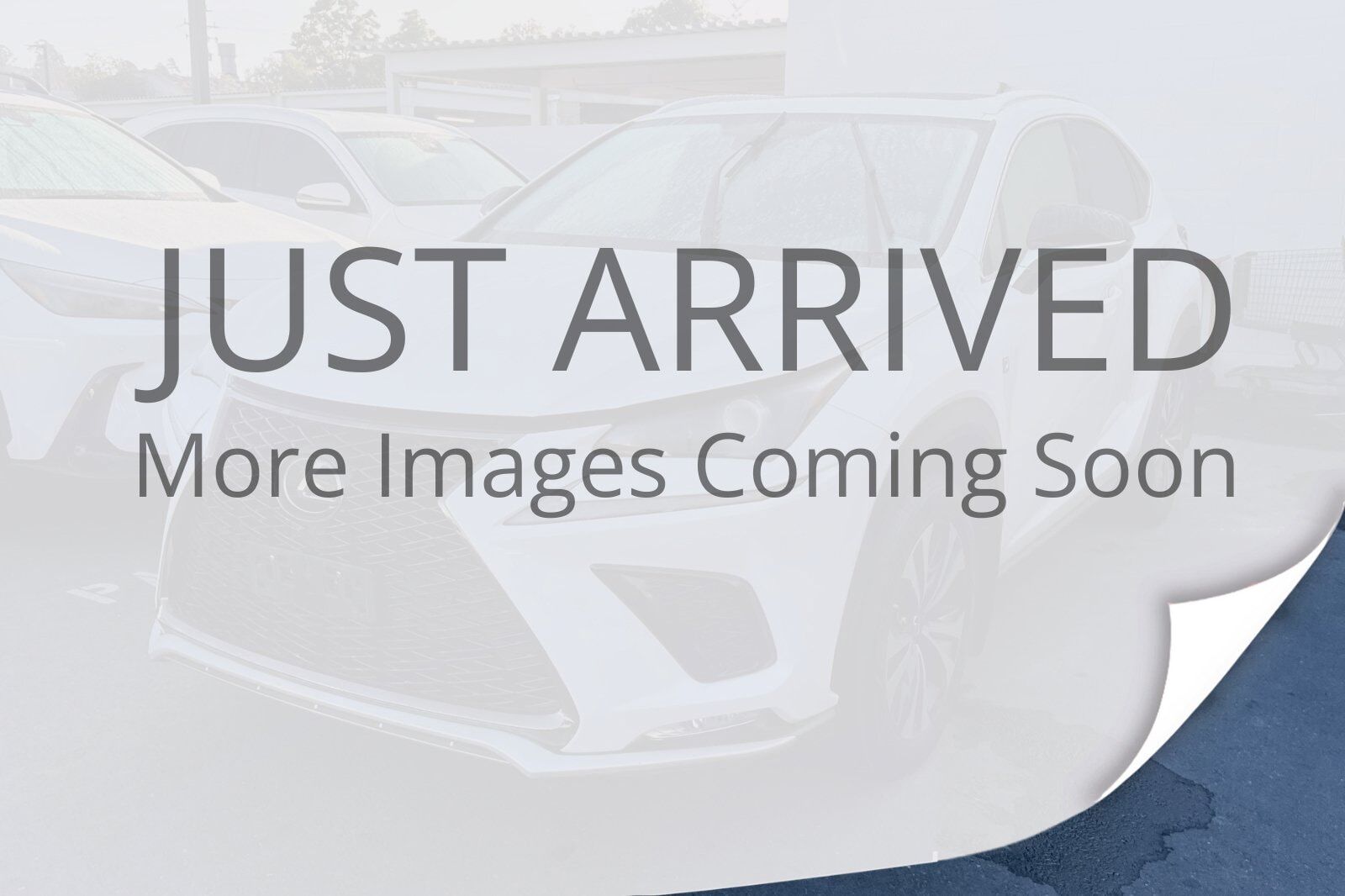 2020 Lexus NX