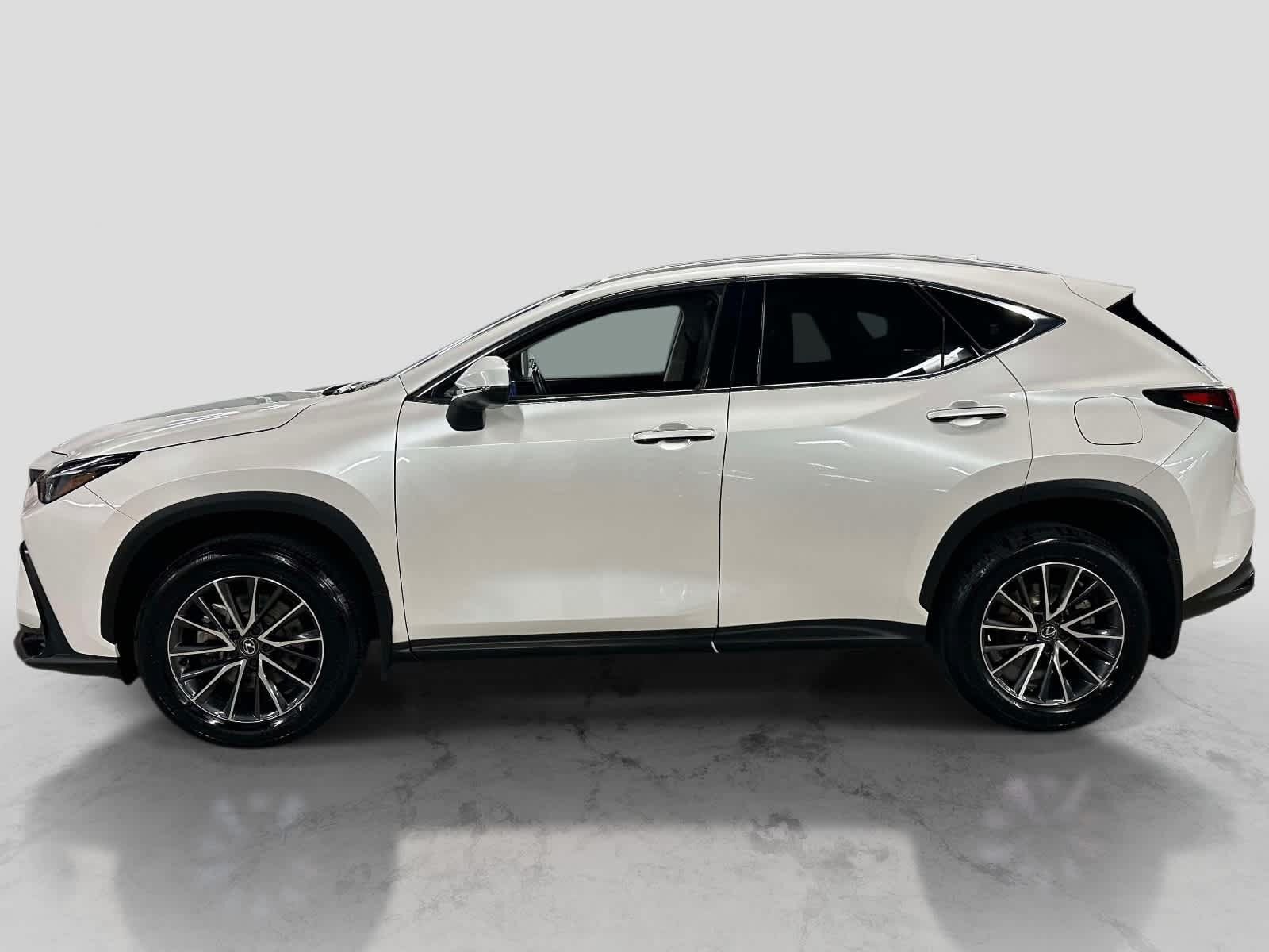 2024 Lexus NX