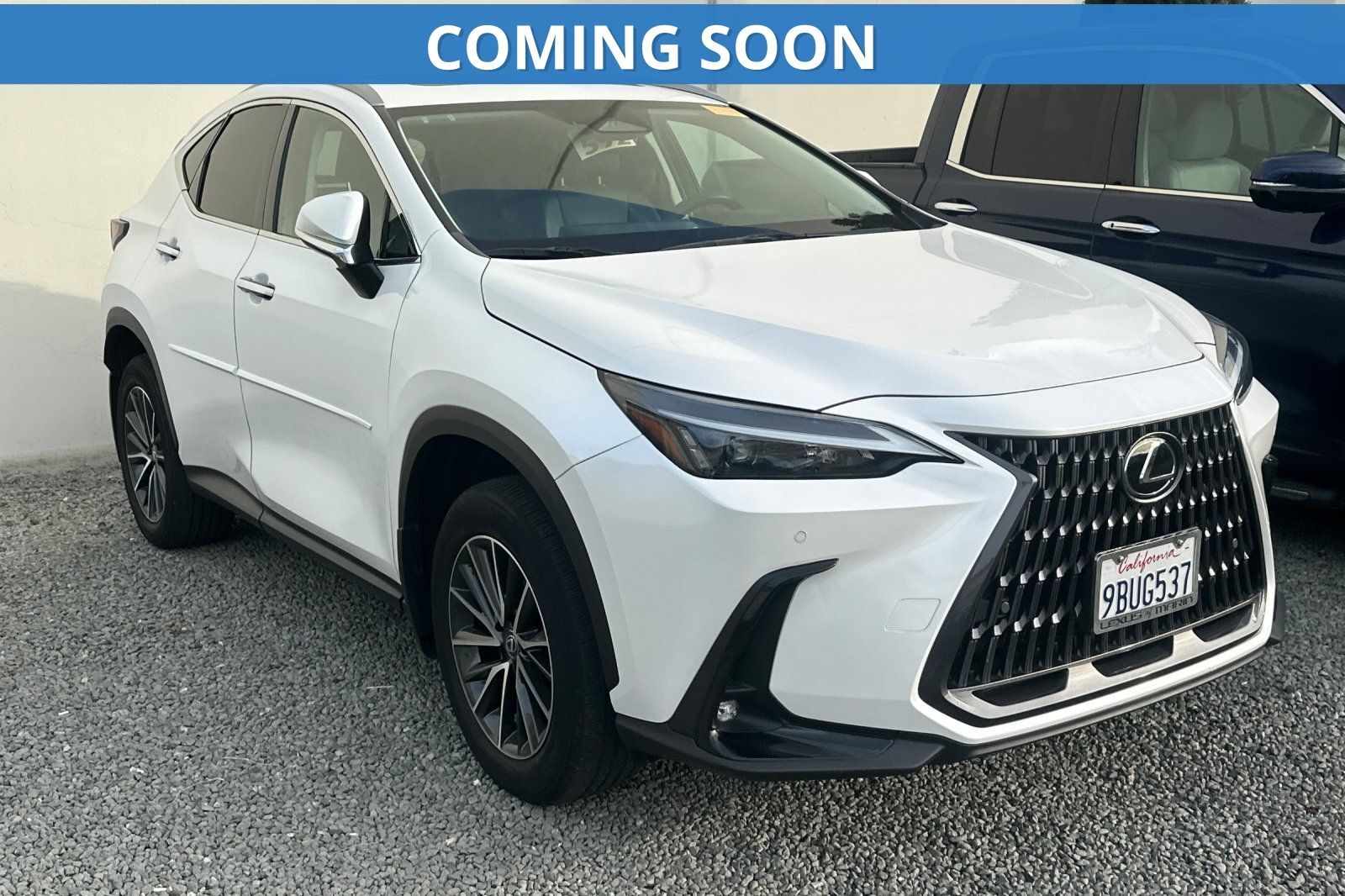 2022 LEXUS NX