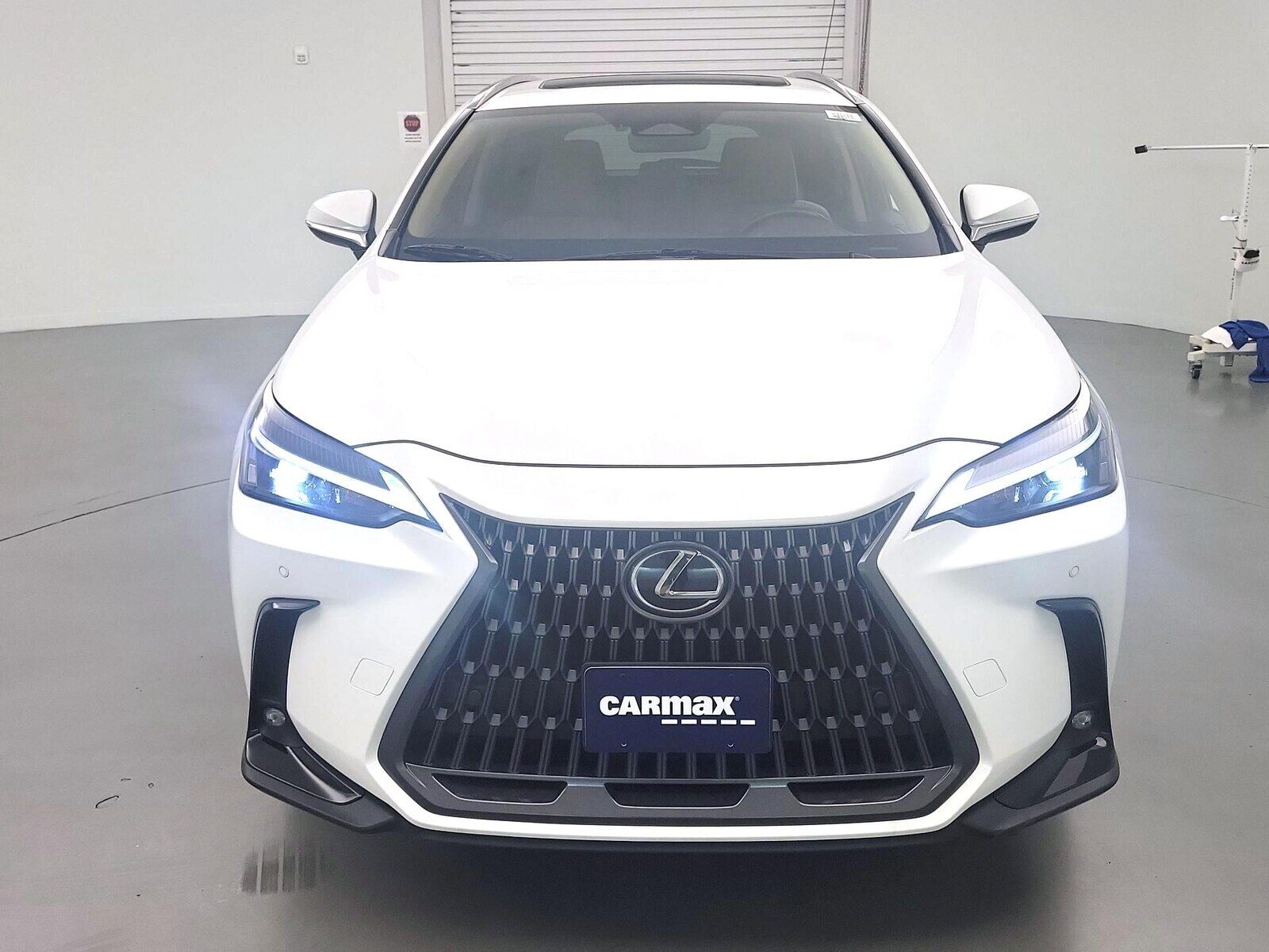 2025 Lexus NX