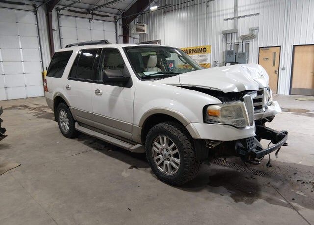 2010 FORD Expedition