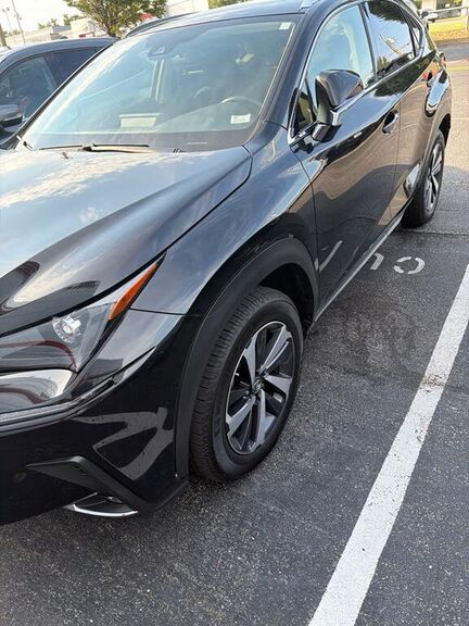 2020 Lexus NX