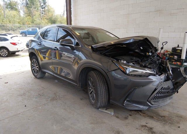 2024 LEXUS NX