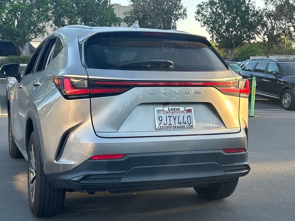 2024 Lexus NX