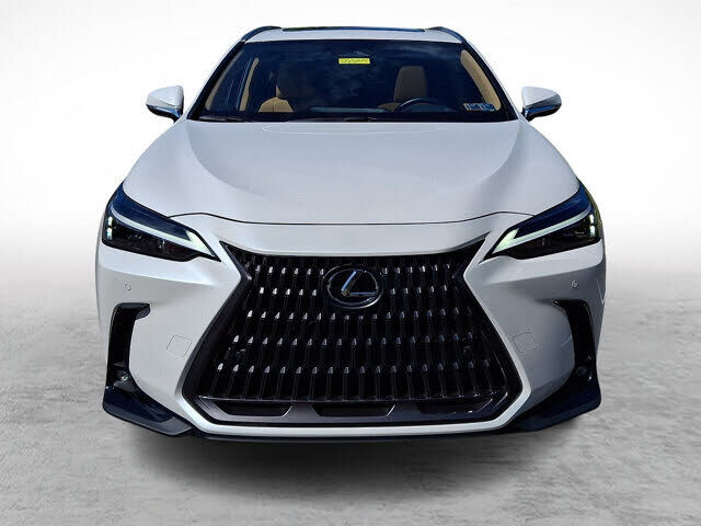 2024 Lexus NX