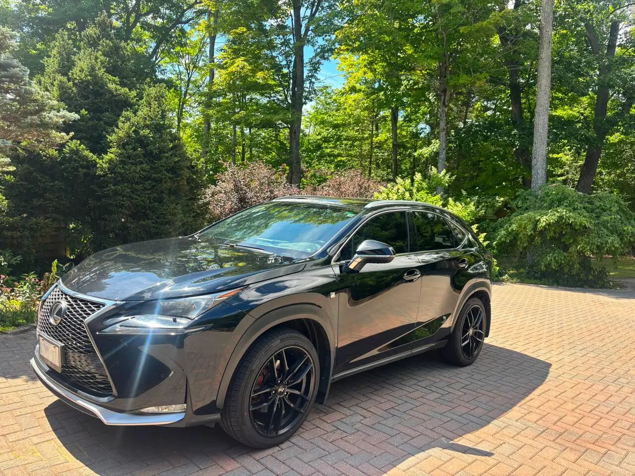 2015 Lexus NX
