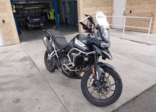 2023 TRIUMPH Tiger