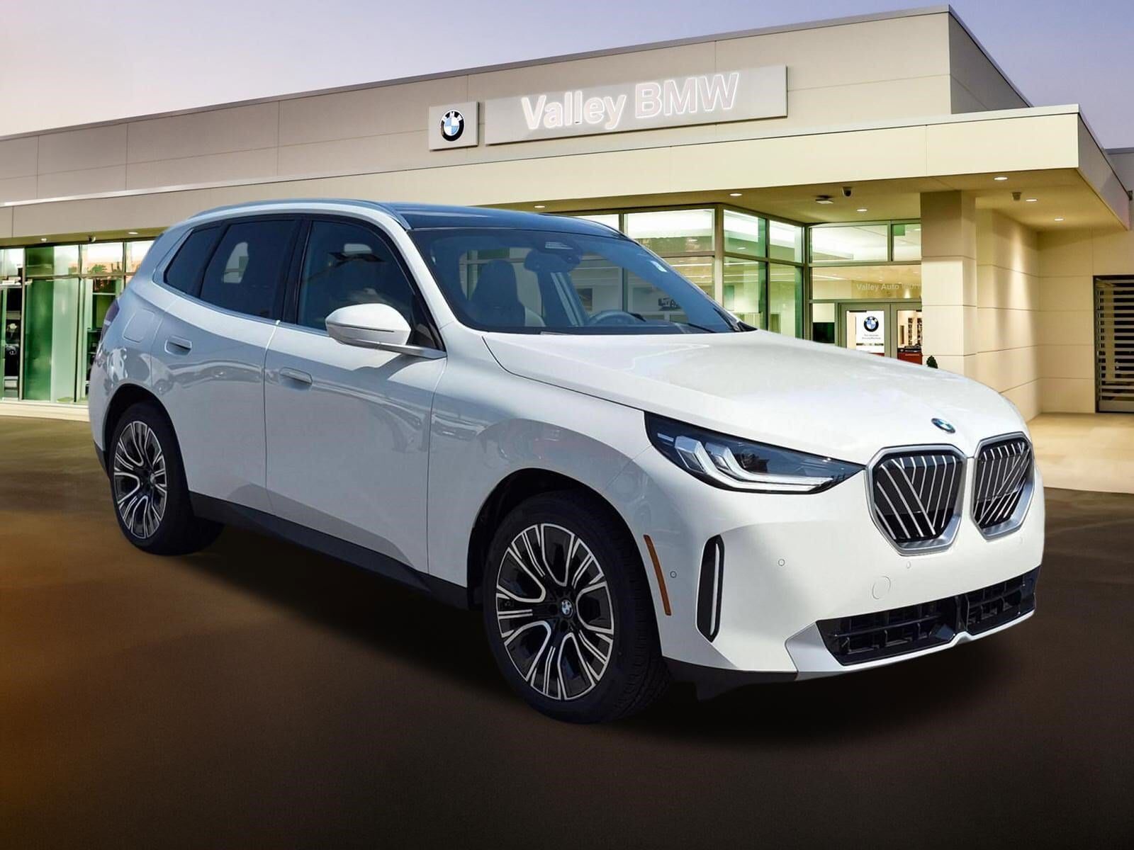 2026 BMW X3