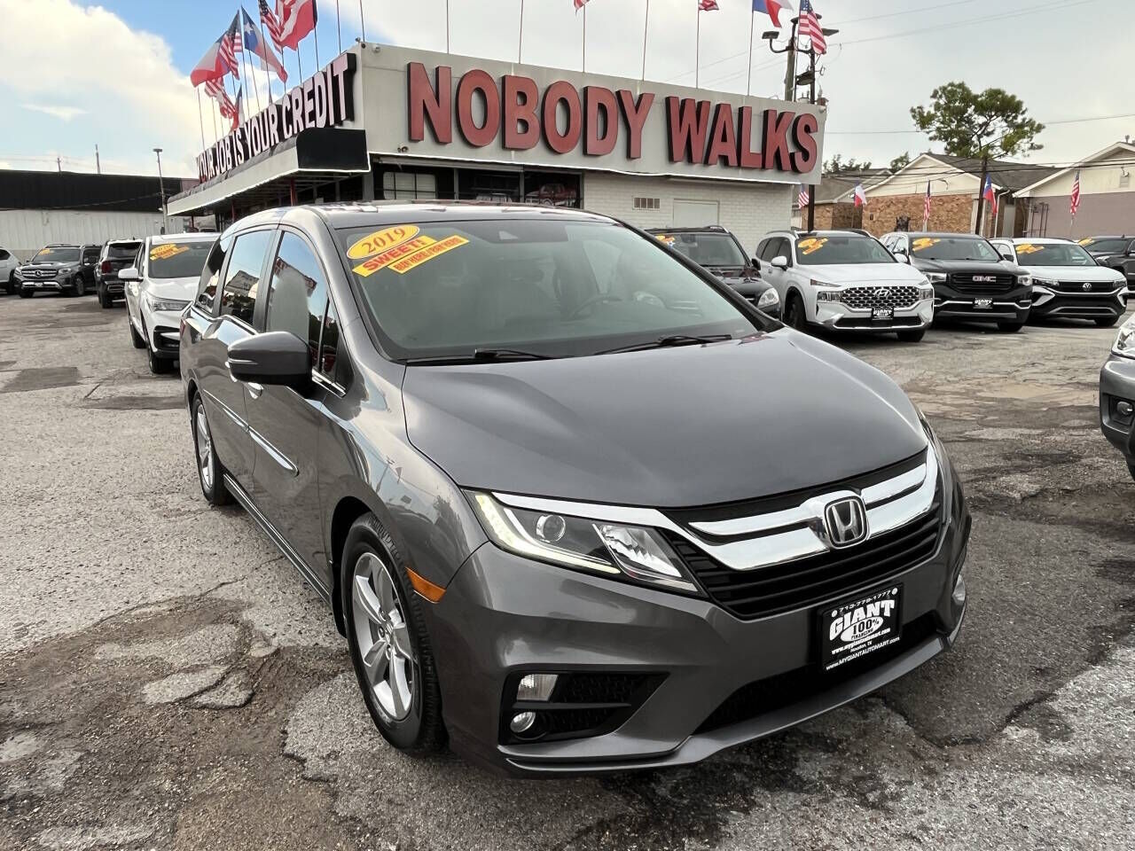 2019 HONDA Odyssey