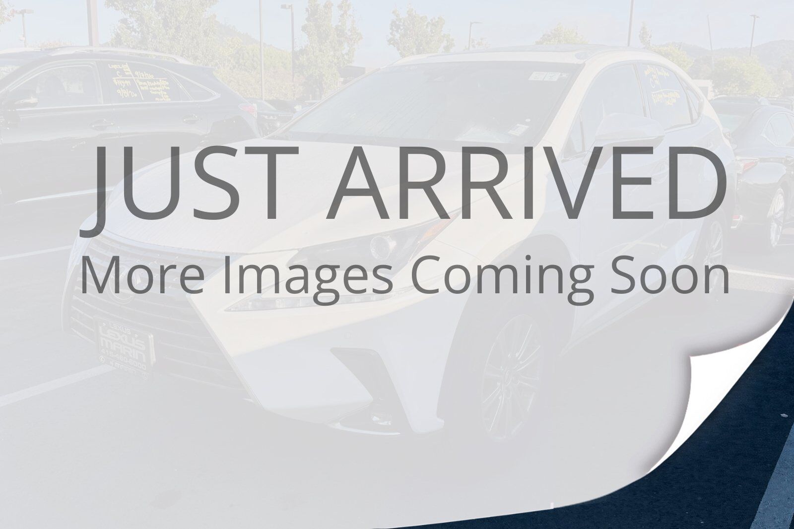 2019 Lexus NX