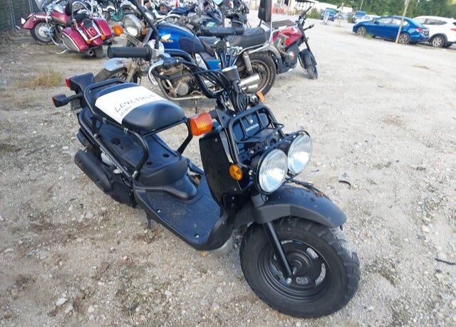 2024 HONDA Ruckus