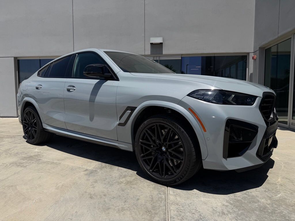 2024 BMW X6