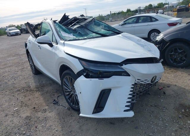 2024 LEXUS RX