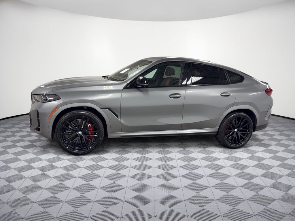 2024 BMW X6
