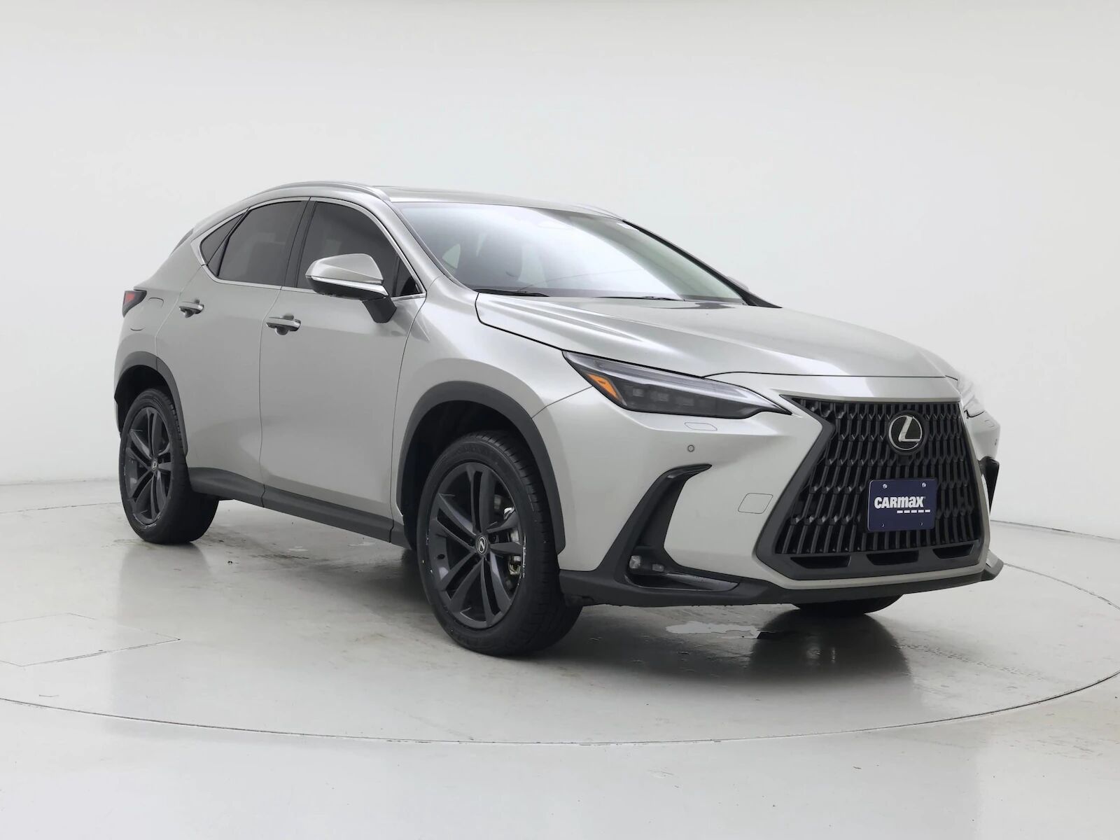 2024 Lexus NX