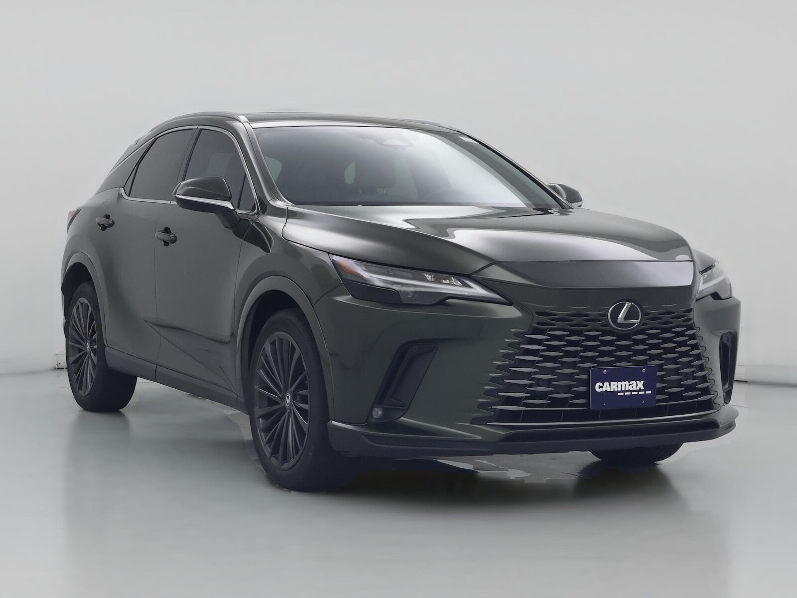 2024 LEXUS RX