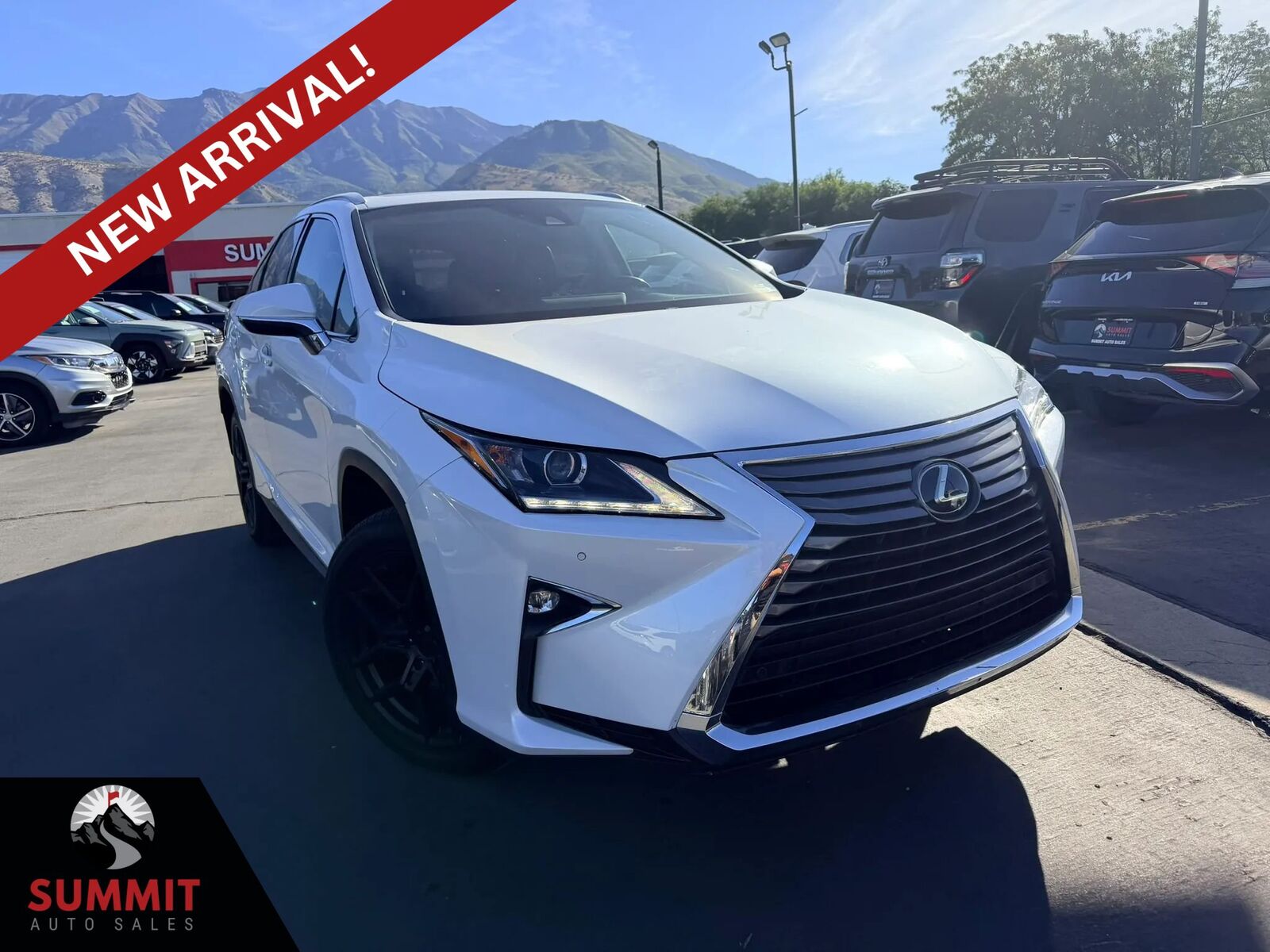 2017 LEXUS RX