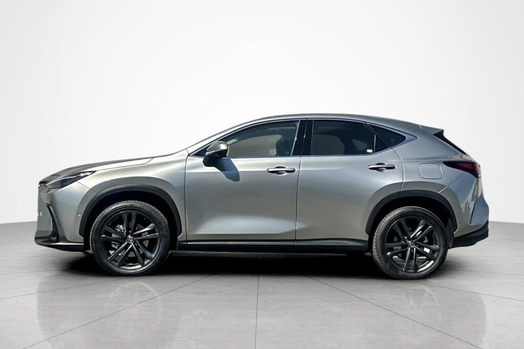 2025 Lexus NX