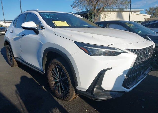 2026 LEXUS NX