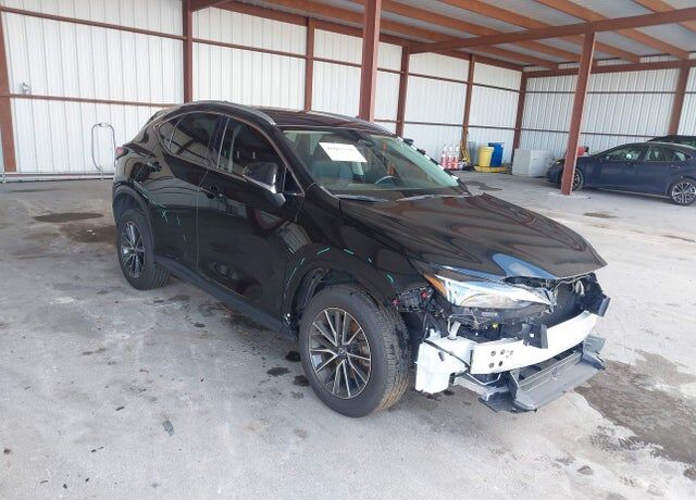 2025 LEXUS NX