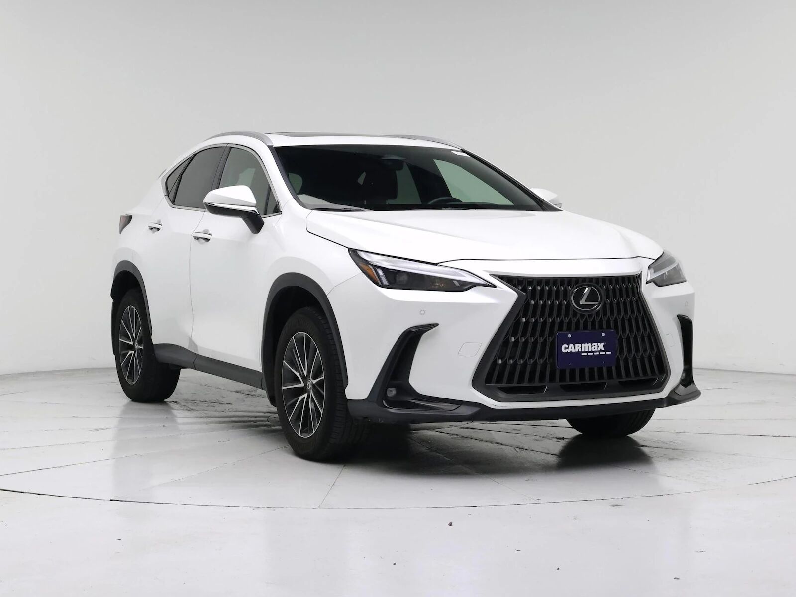 2024 Lexus NX