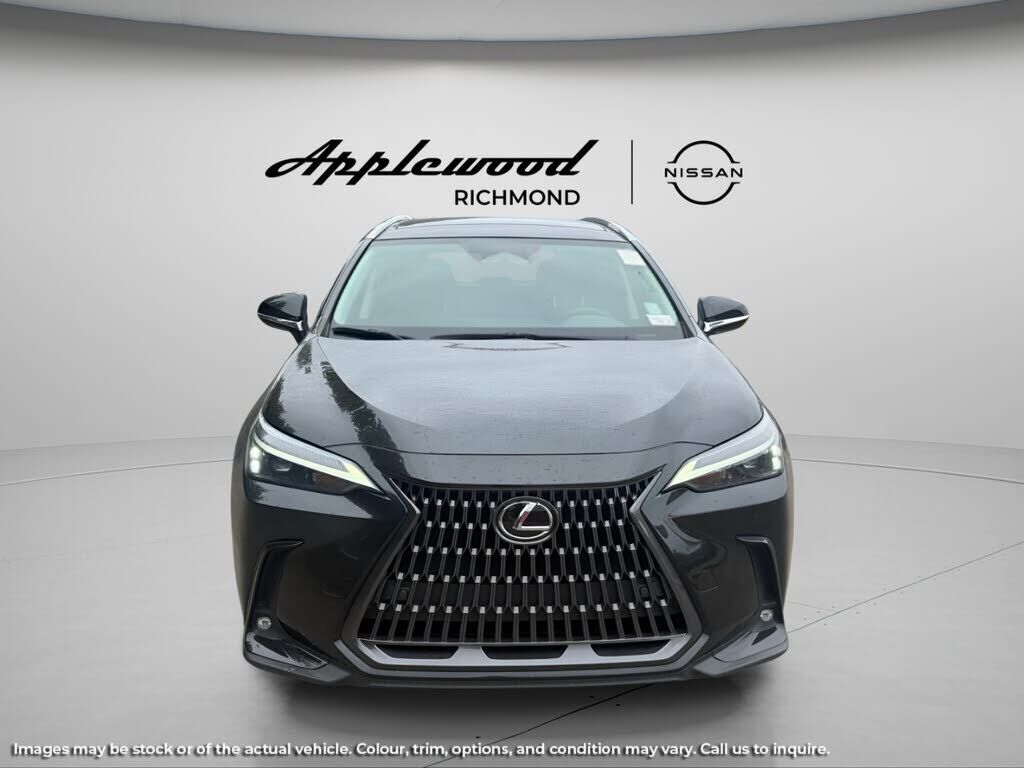 2024 Lexus NX
