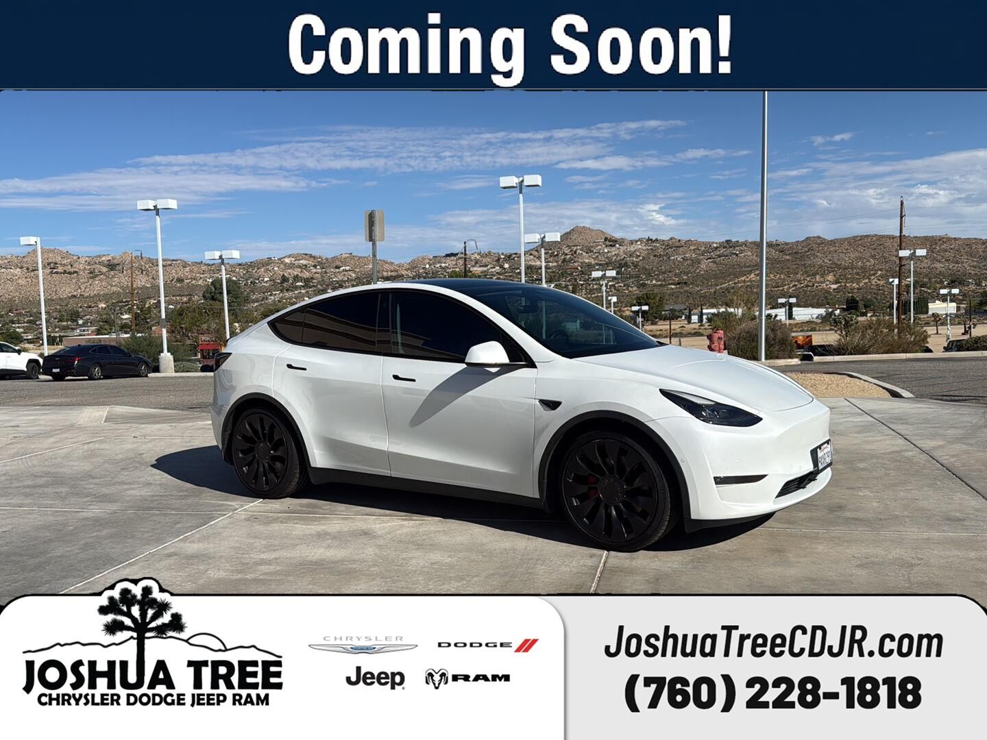 2022 TESLA Model Y