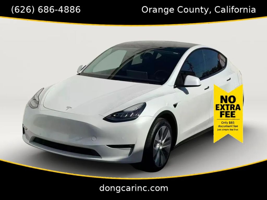 2021 TESLA Model Y
