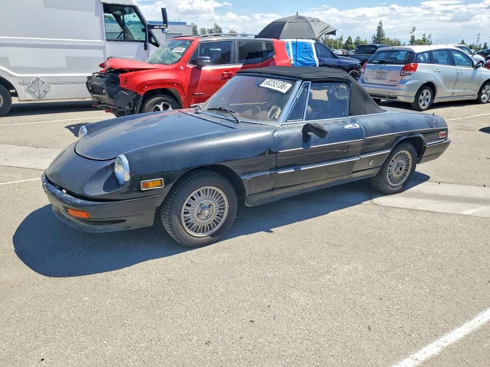 1981 ALFA ROMEO Spider