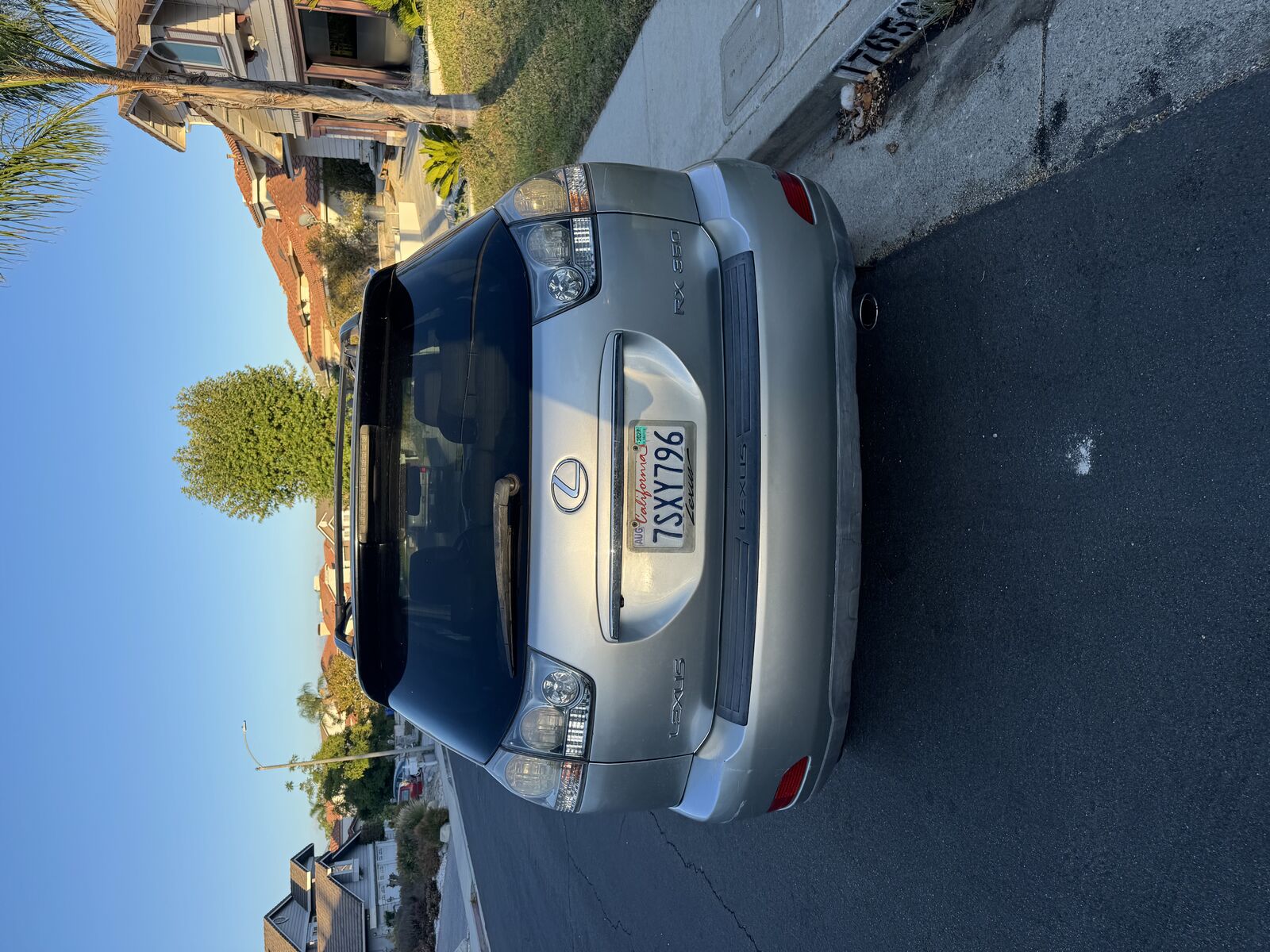 2007 Lexus RX