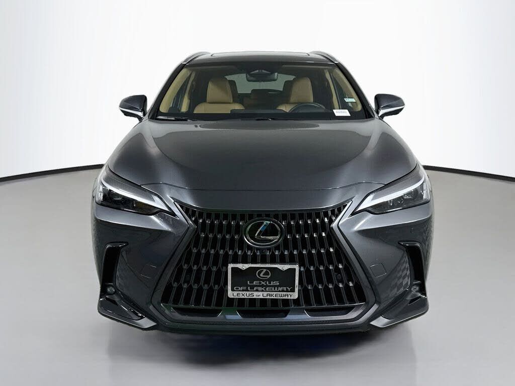 2025 Lexus NX