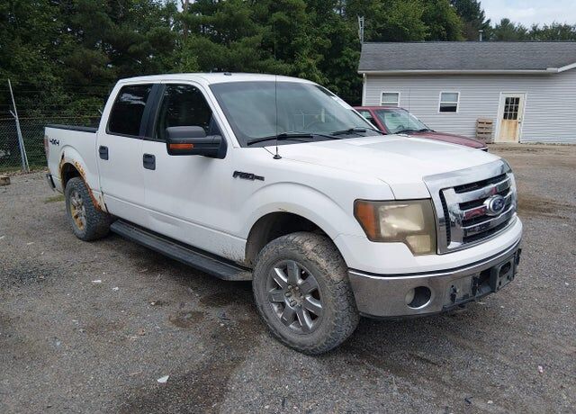 2010 FORD F-150