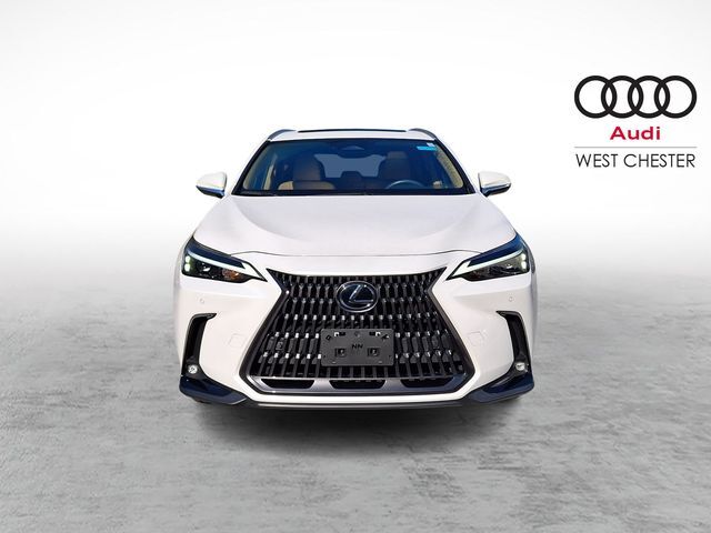2025 Lexus NX