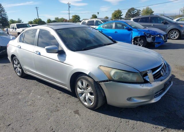 2010 HONDA Accord
