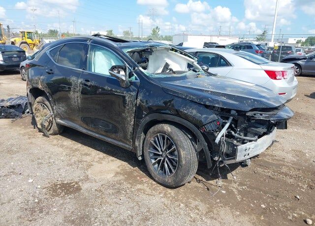 2026 LEXUS NX