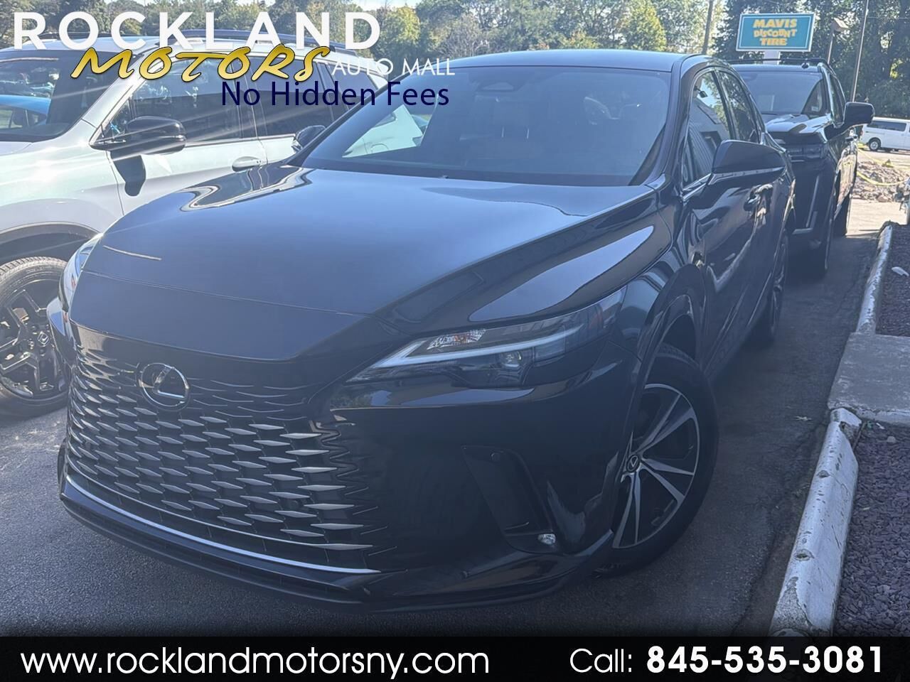 2025 LEXUS RX