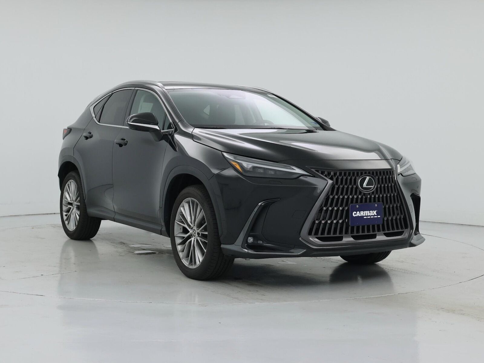 2024 Lexus NX