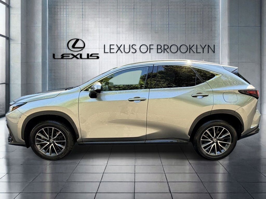 2024 Lexus NX