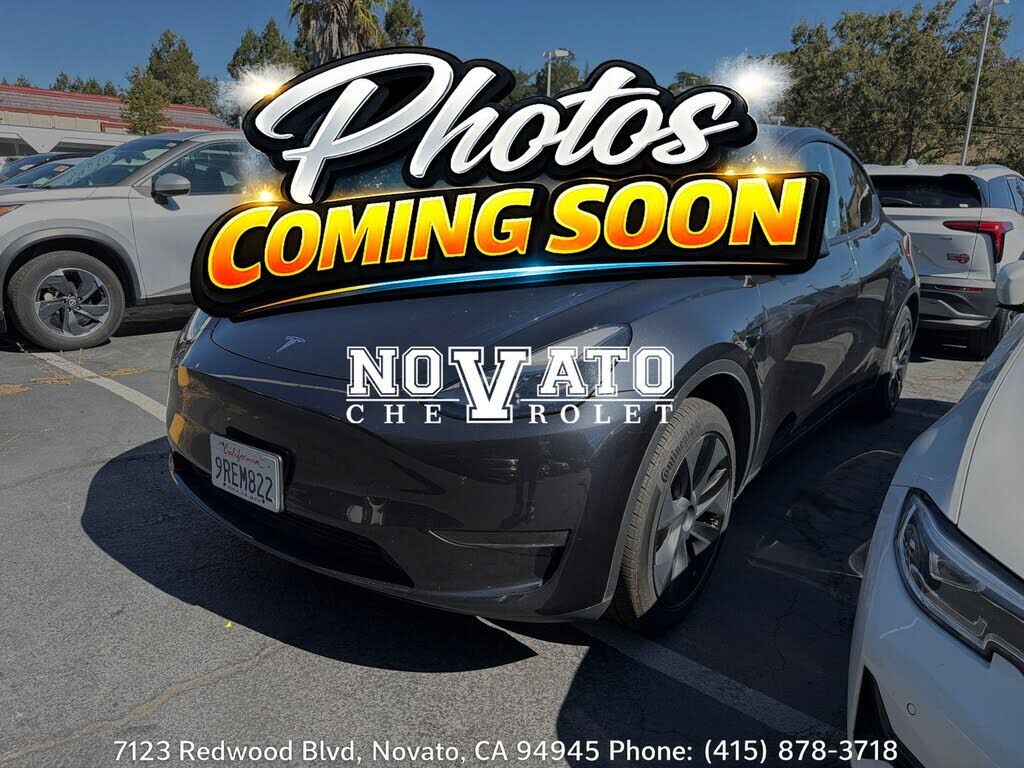 2025 TESLA Model Y