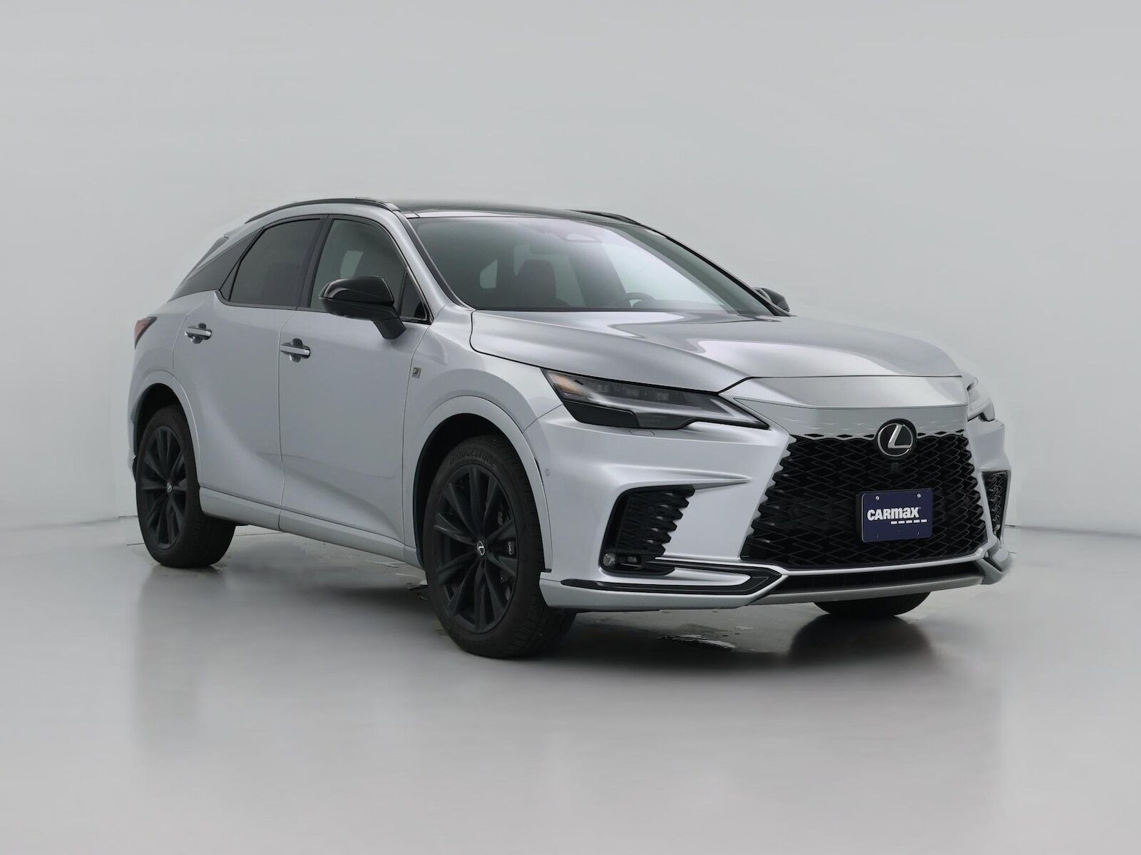 2024 LEXUS RX