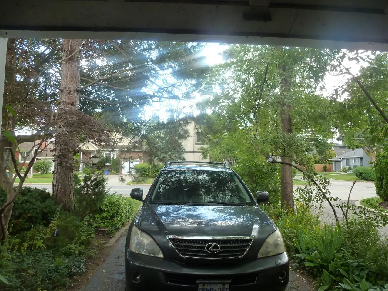 2007 Lexus RX