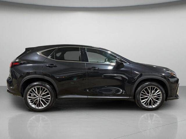 2023 Lexus NX
