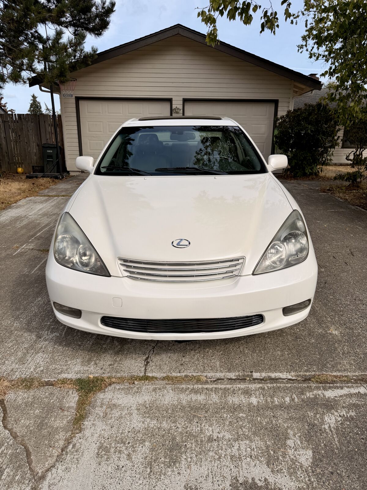 2004 Lexus ES