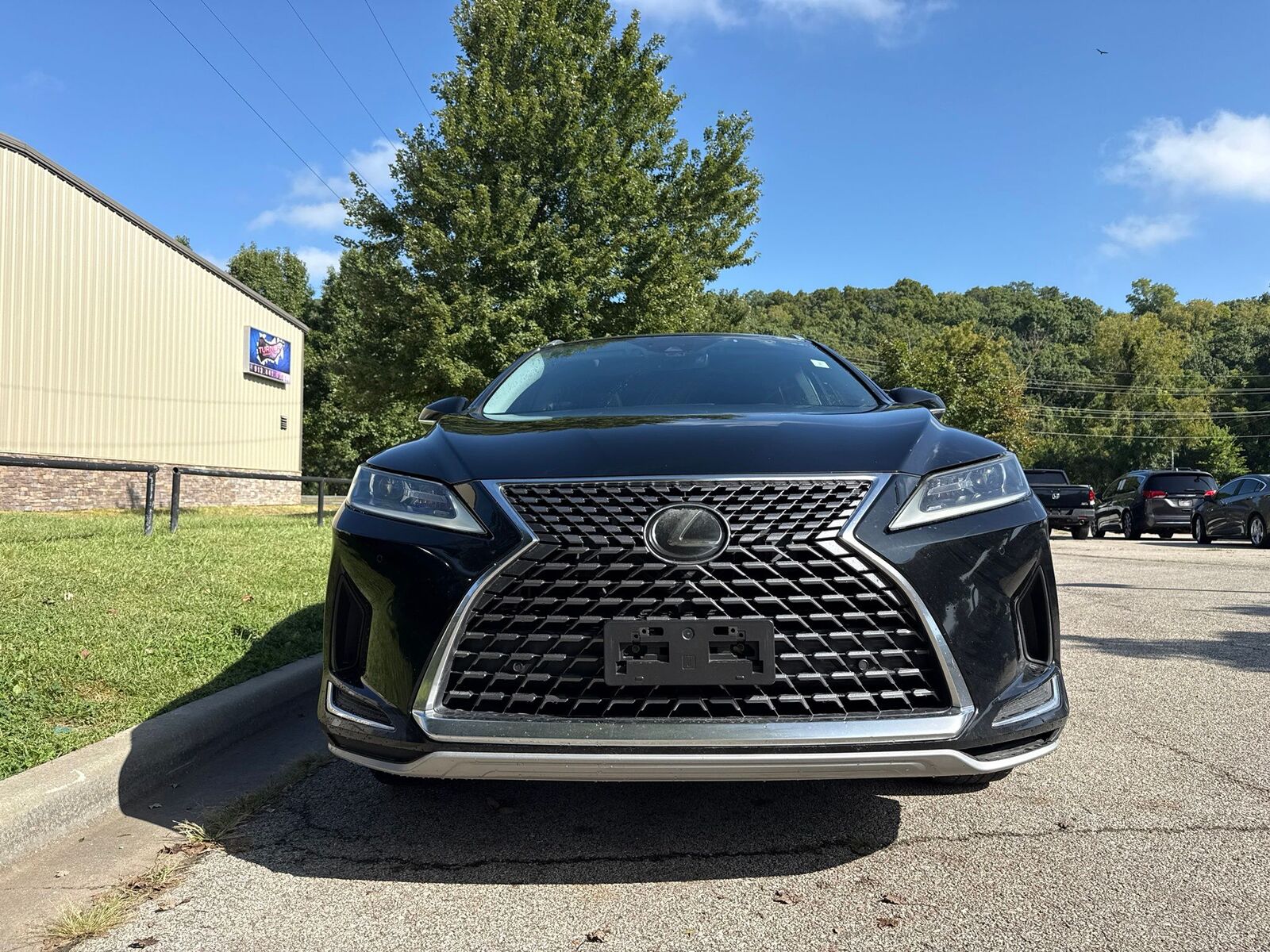 2020 Lexus RX