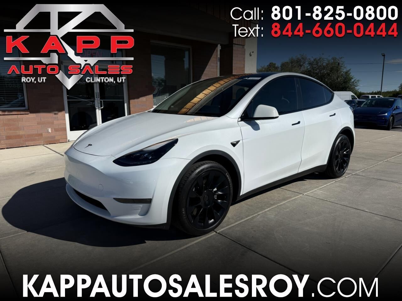 2024 TESLA Model Y