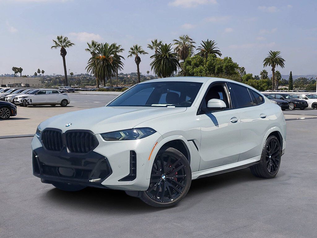 2024 BMW X6
