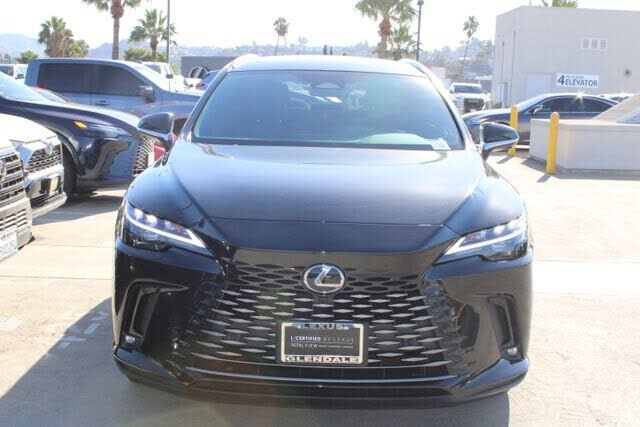 2025 Lexus RX