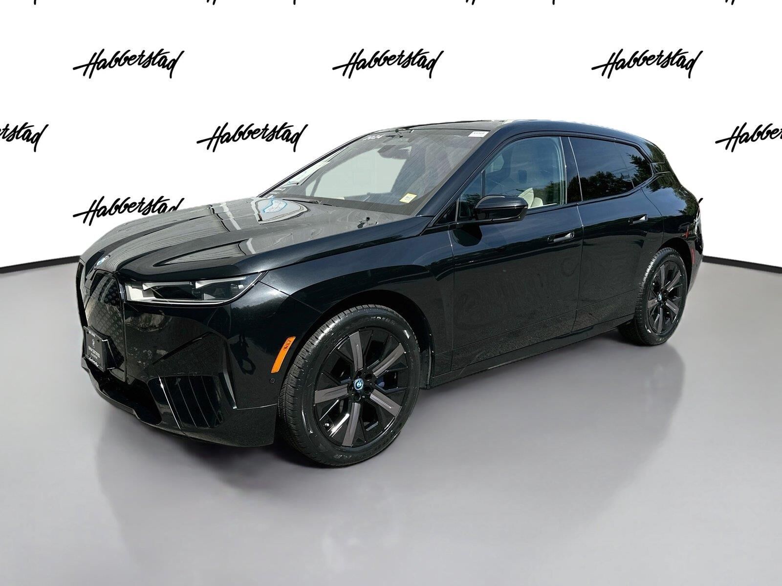 2024 BMW ix